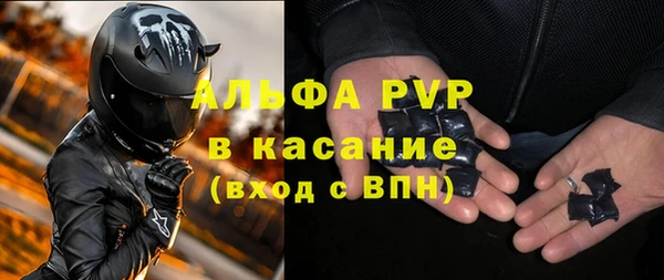 стафф Алексин