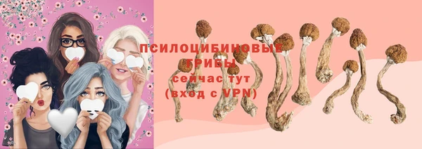 герыч Пестово