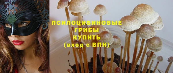 кокс Алексеевка
